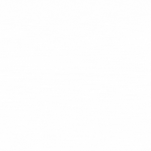 miss-fox-albany-ny-dominatrix